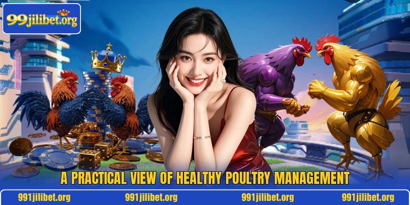 A practical view of healthy poultry management