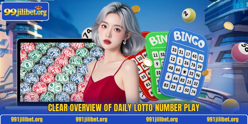 Clear overview of Daily Lotto number play