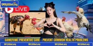 Gamefowl Preventive Care – Prevent Common Health Problems