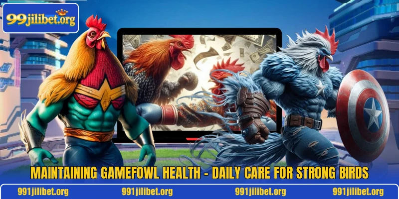 Maintaining Gamefowl Health – Daily Care For Strong Birds