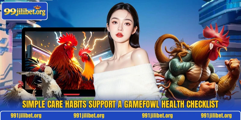 Simple care habits support a gamefowl health checklist Simple care habits support a gamefowl health checklist
